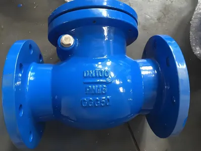 Duktilt järn svängbackventil PN10